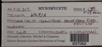 Image Associated With the Occurence